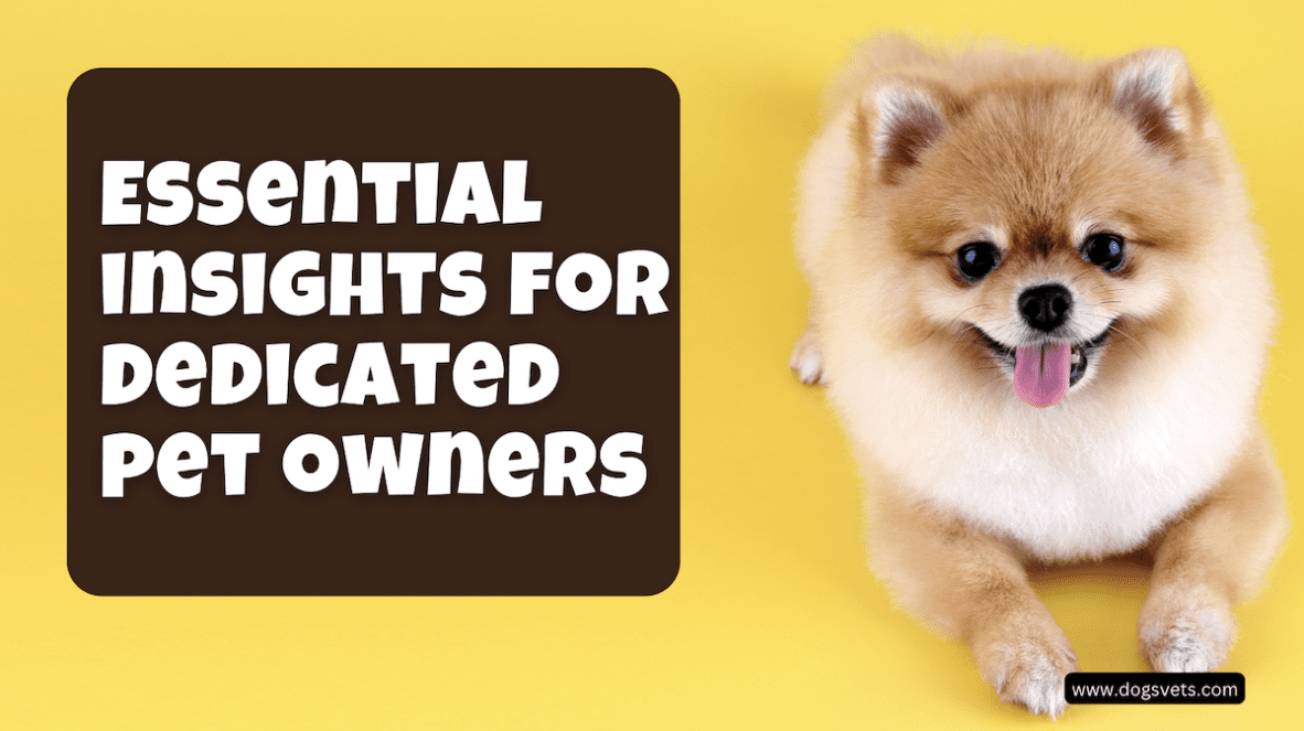 Embark on a comprehensive pet care journey: Essential insights for dedicated pet owners